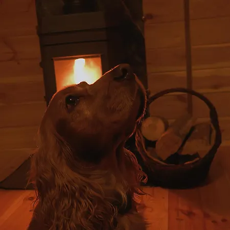 Сasa de vacaciones W Dolinie Radomki *