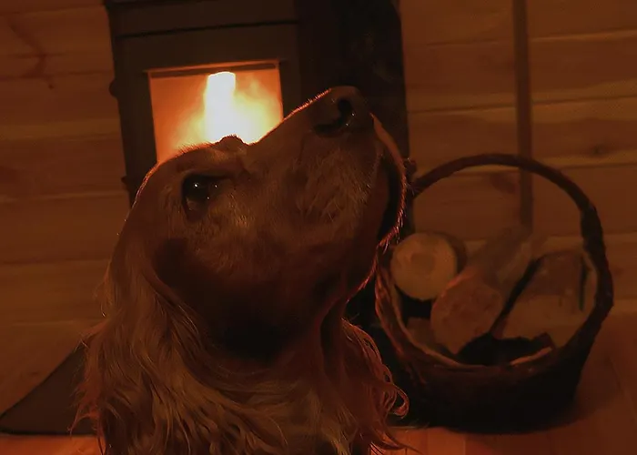 Dom wakacyjny W Dolinie Radomki *